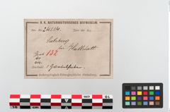 Etikett zu Bronzegürtelhaken (NHMW-PRAE-024114)